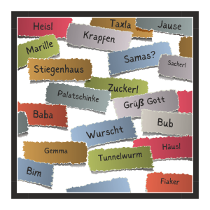 colorful pieces of paper with typical Vienna words